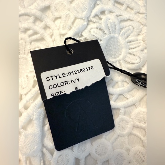 Adrianna Papell white lace lined special occasion dress sz 8 NWT - Picture 6 of 9